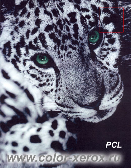 PCL HP